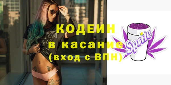 индика Алзамай