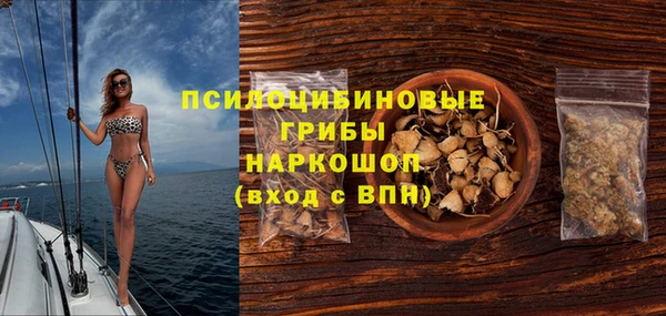 индика Алзамай