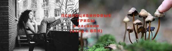 кокс Алексин