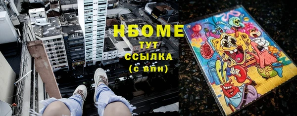 индика Алзамай