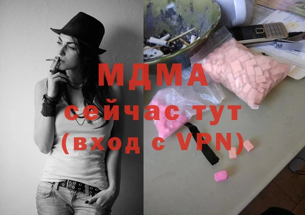 индика Алзамай