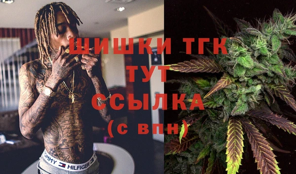 индика Алзамай