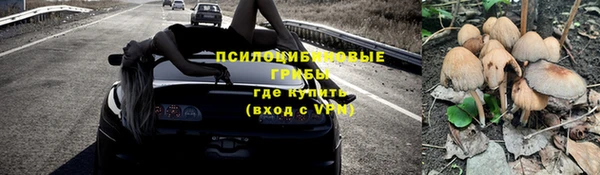 индика Алзамай