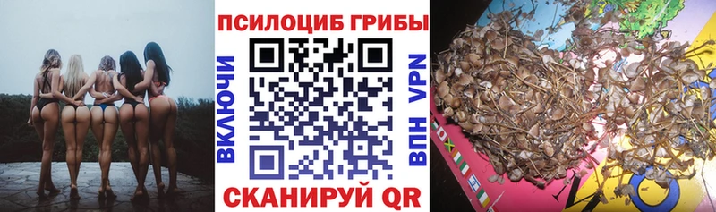 Псилоцибиновые грибы MAGIC MUSHROOMS  blacksprut   Игра  наркотики 